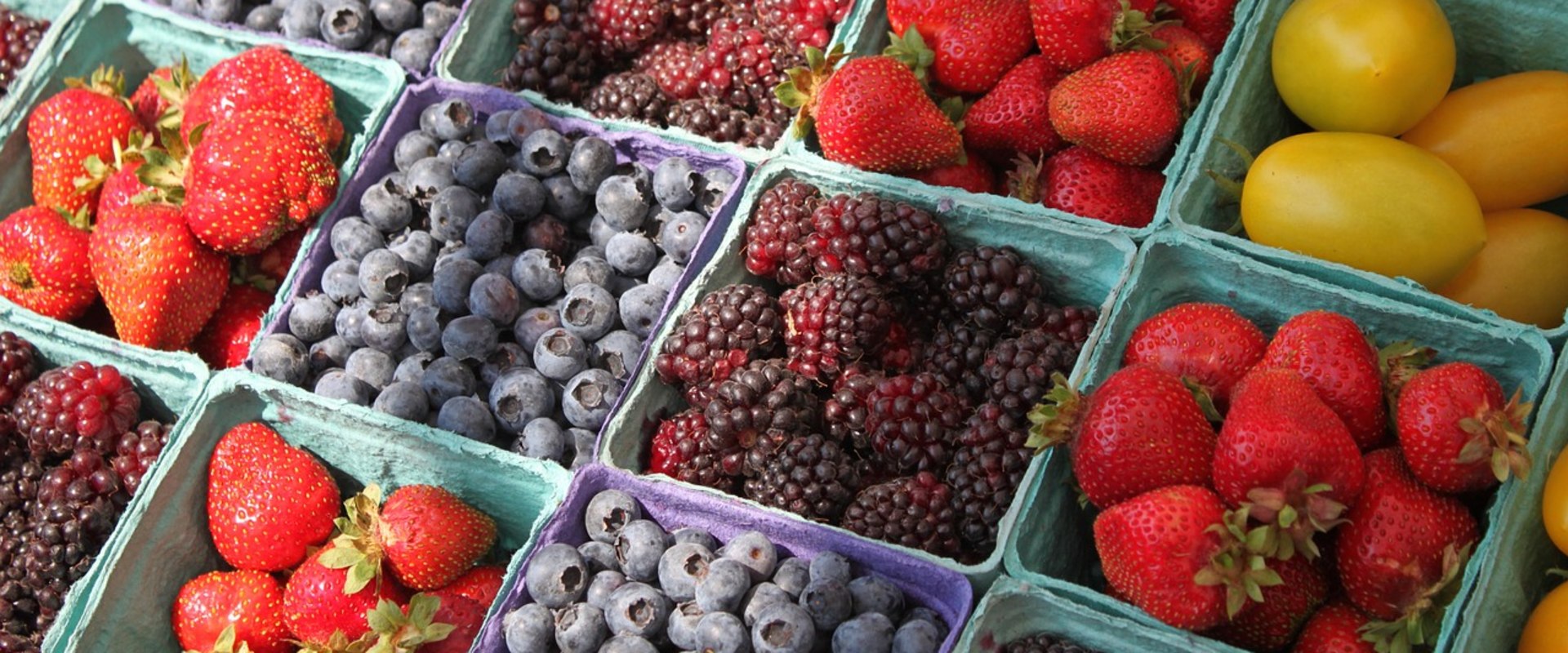 Discover the Best Farmers Markets in San Diego