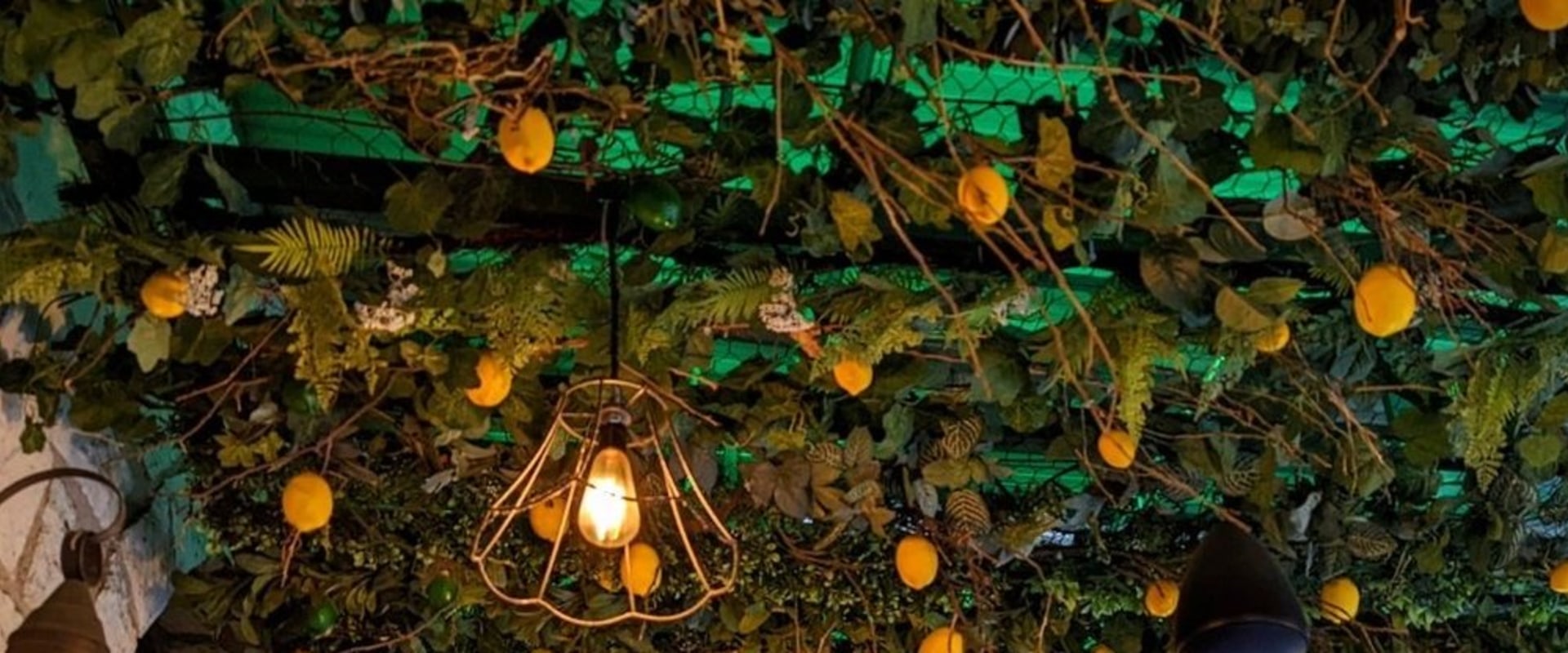 Savoring Italy: The Top Italian Restaurants in San Diego